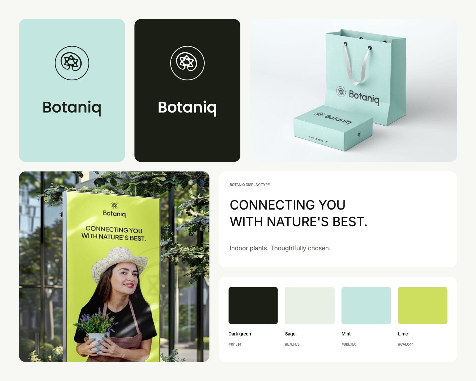 Botaniq brand board with the round mark and wordmark, the original mint bag and box and lime poster photographs, and dark green, sage, mint and lime swatches