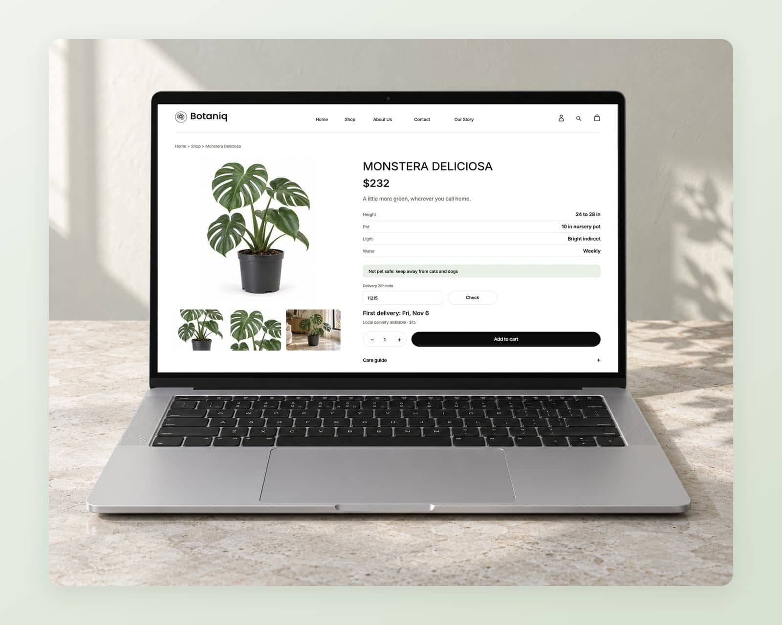 Botaniq’s Monstera Deliciosa page at $232 with a gallery, 24 to 28 inch height, 10 inch pot, bright indirect light, weekly watering, a not pet safe line, first delivery Friday, November 6 and Add to cart