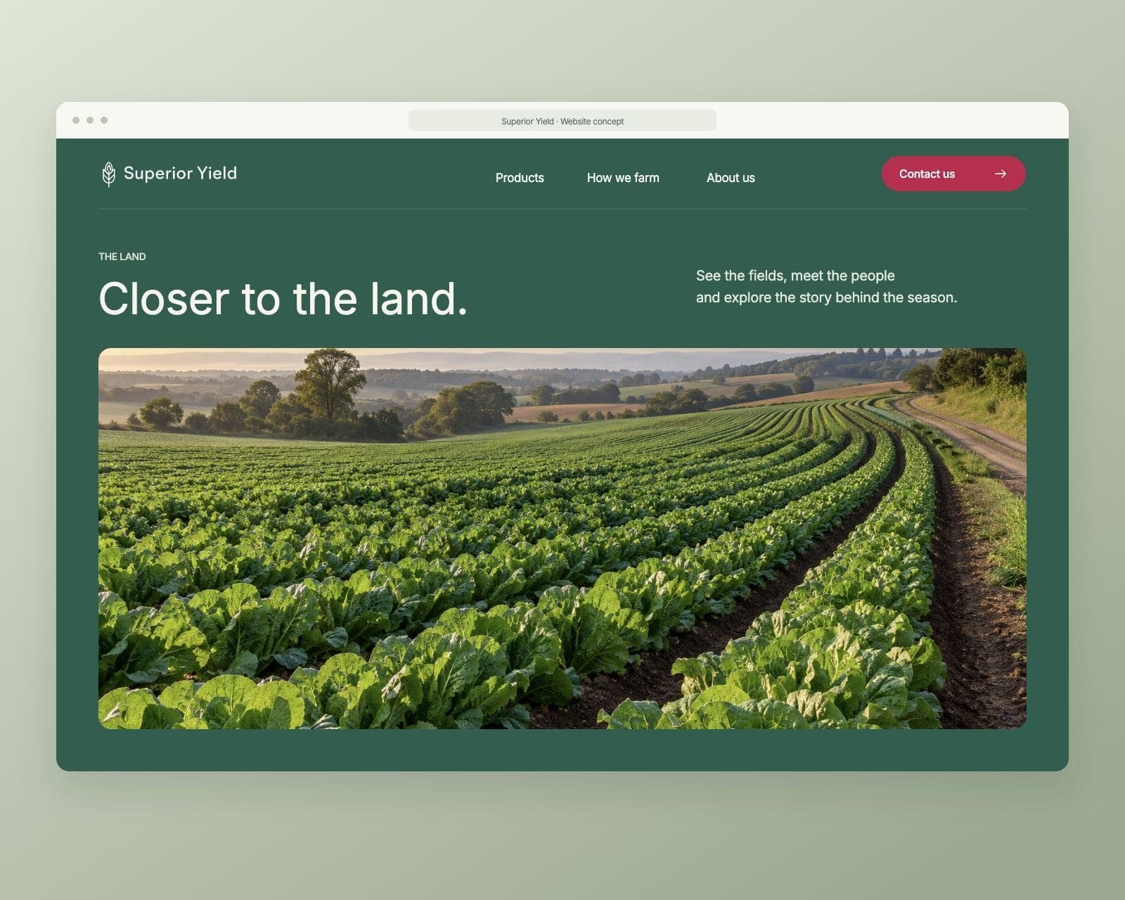 Superior Yield photography-led website concept with a large field image and short introductory text