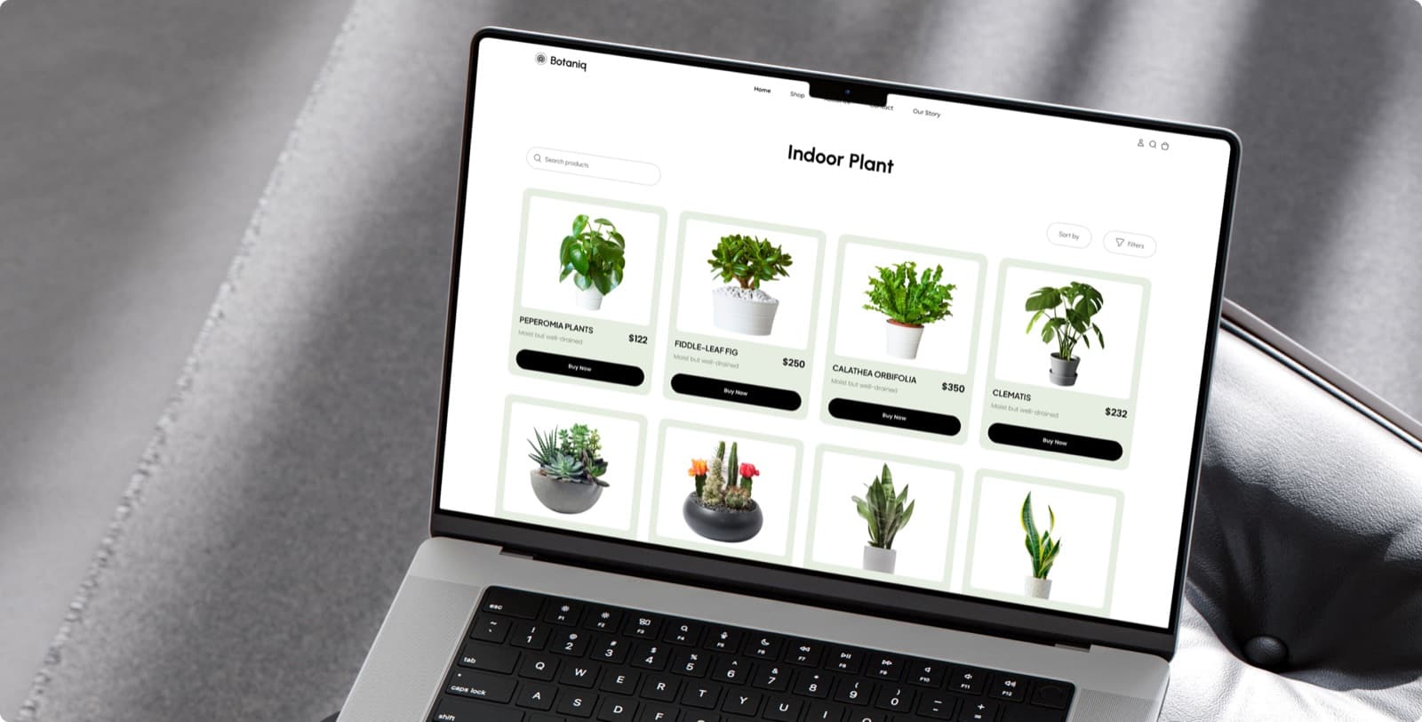 The Botaniq shop page on a laptop, headed Indoor Plant, with a grid of plants each showing a name, a price and a Buy Now button